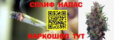 бошки Камышлов