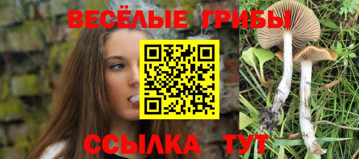 Кондопога  Псилоцибиновые грибы ЛСД  Псилоцибиновые грибы Psilocybe  Вход с VPN 